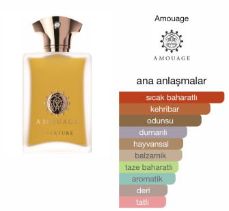 Amouage Overture Man Edp 100 ml Erkek Tester Parfüm