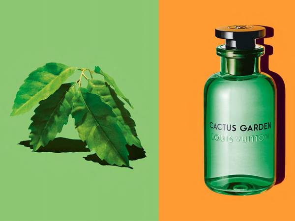 Louis Vuitton Cactus Garden 100 ml Edp Unisex Parfüm - Gümrük Mekanı | Tester Parfüm ve ...